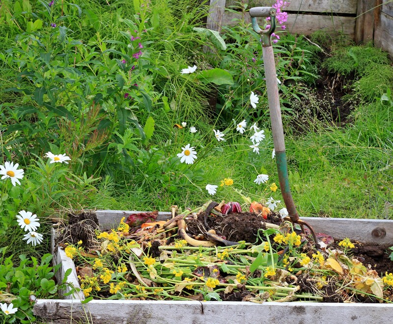 garden waste garden